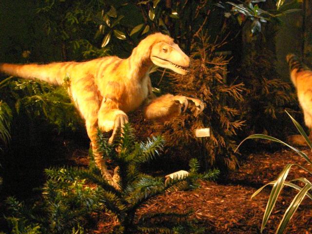 LV Zeltlager 2008 463.jpg